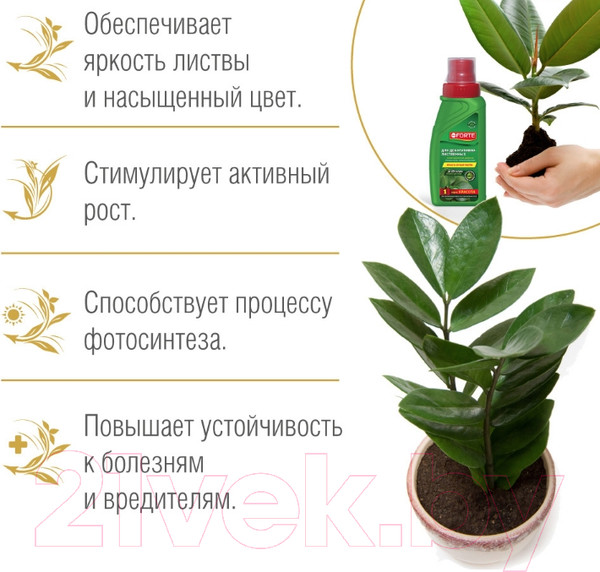 Изображение товара Удобрение Bona Forte Жидкое комплексное для декоративно-лиственных растений (285мл)