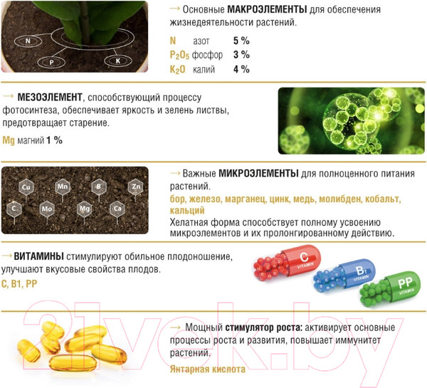 Изображение товара Удобрение Bona Forte Жидкое комплексное для декоративно-лиственных растений (285мл)