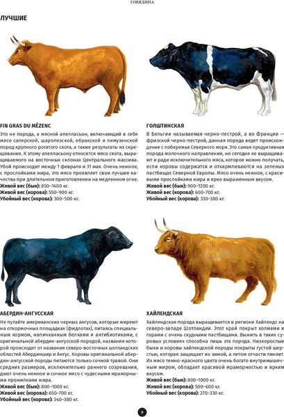 Изображение товара Книга Попурри Мясо. Полное иллюстрированное руководство (Ле Кен А.)