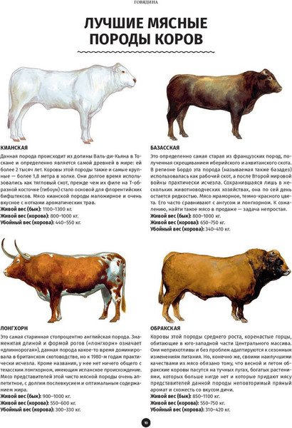 Изображение товара Книга Попурри Мясо. Полное иллюстрированное руководство (Ле Кен А.)