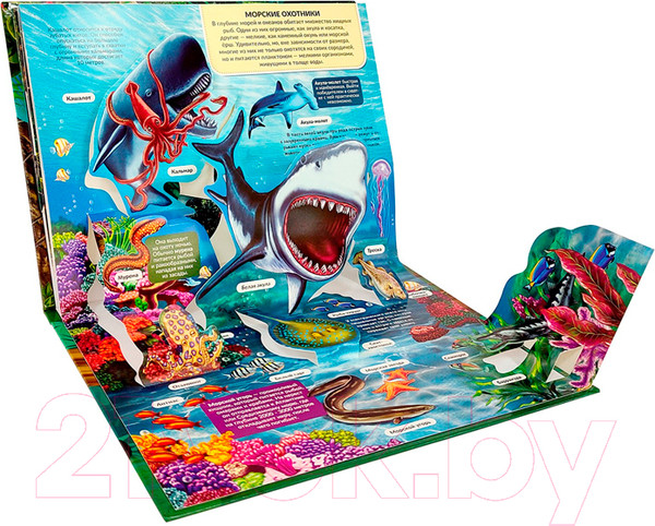 Изображение товара Энциклопедия Malamalama POP-UP Хищники