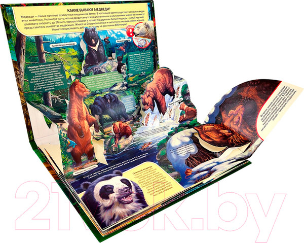 Изображение товара Энциклопедия Malamalama POP-UP Хищники