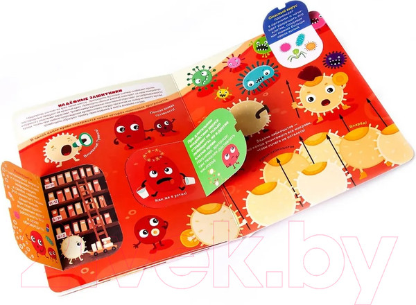 Изображение товара Развивающая книга Malamalama Почему мы болеем? Иммунитет. С окошками