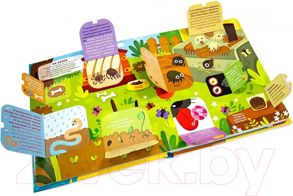 Изображение товара Энциклопедия Malamalama Что мы видим в микроскоп? С окошками