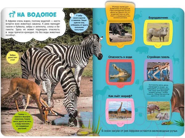 Изображение товара Развивающая книга Malamalama Первые знания малыша. Саванна. С окошками