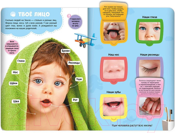 Изображение товара Развивающая книга Malamalama Первые знания малыша. Мое тело. С окошками