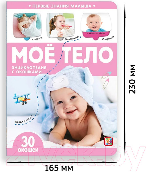 Изображение товара Развивающая книга Malamalama Первые знания малыша. Мое тело. С окошками