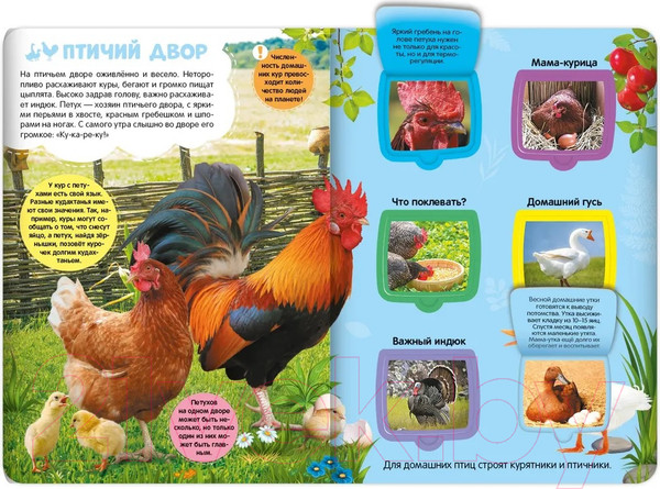 Изображение товара Развивающая книга Malamalama Первые знания малыша. Ферма. С окошками