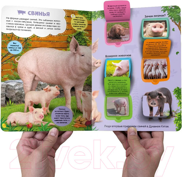 Изображение товара Развивающая книга Malamalama Первые знания малыша. Ферма. С окошками