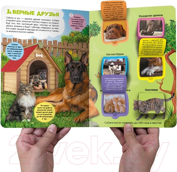 Изображение товара Развивающая книга Malamalama Первые знания малыша. Ферма. С окошками