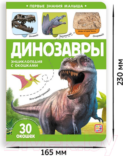 Изображение товара Развивающая книга Malamalama Первые знания малыша. Динозавры. С окошками