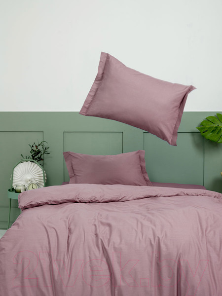 Изображение товара Комплект постельного белья ВАСИЛИСА Бузина 2.0 / 274681