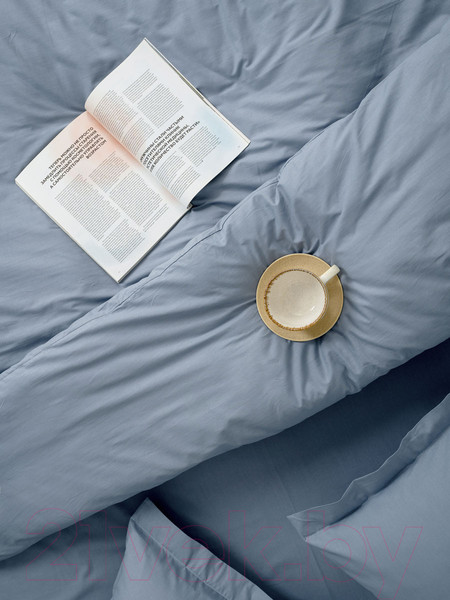 Изображение товара Комплект постельного белья ВАСИЛИСА Деним 2.0 / 274616