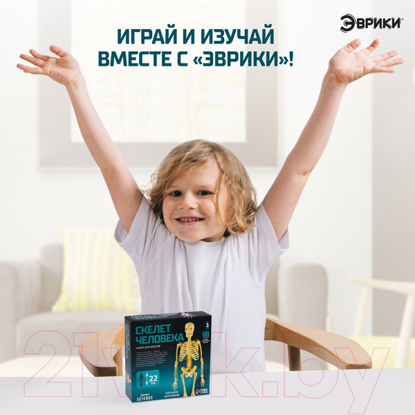 Изображение товара Научная игра Эврики Скелет человека / 7647805