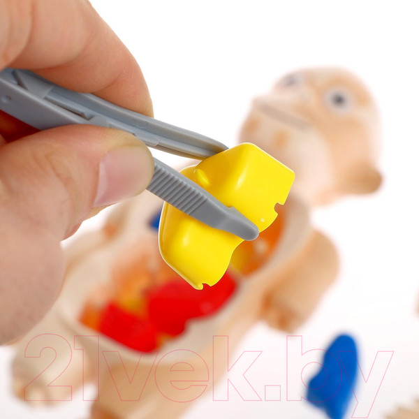 Изображение товара Научная игра Эврики Мое удивительное тело / 5483302