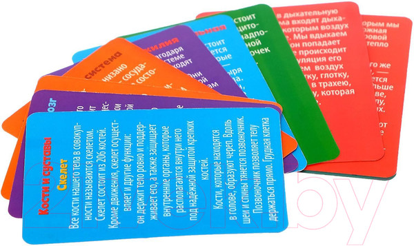 Изображение товара Научная игра Эврики Мое удивительное тело / 5483302