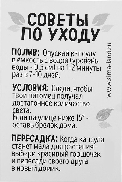 Изображение товара Набор для выращивания растений Эврики Живой брелок / 5202520