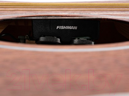 Изображение товара Электроакустическая гитара Cort AF590MF-OP