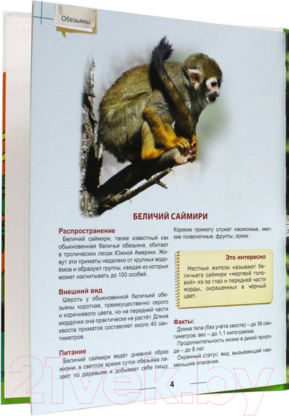 Изображение товара Энциклопедия Проф-Пресс Энциклопедия для детей. Обезьяны