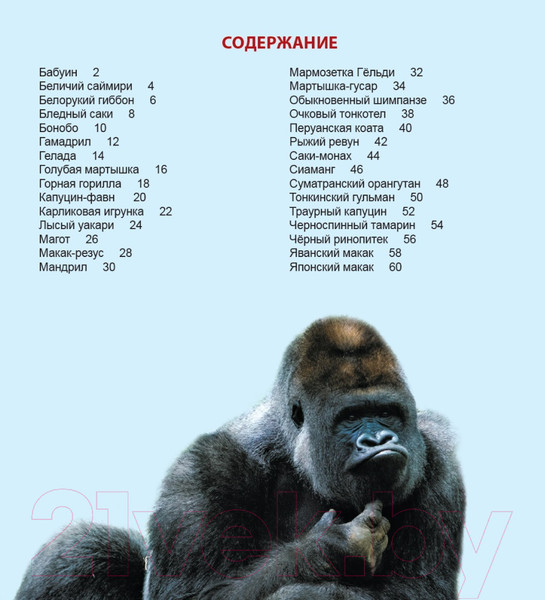 Изображение товара Энциклопедия Проф-Пресс Энциклопедия для детей. Обезьяны