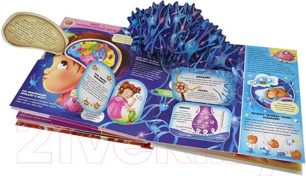 Изображение товара Энциклопедия Malamalama Интерактивная энциклопедия. Анатомия