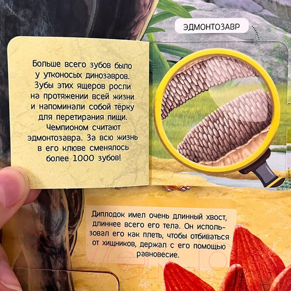 Изображение товара Развивающий плакат Malamalama С окошками. Динозавры