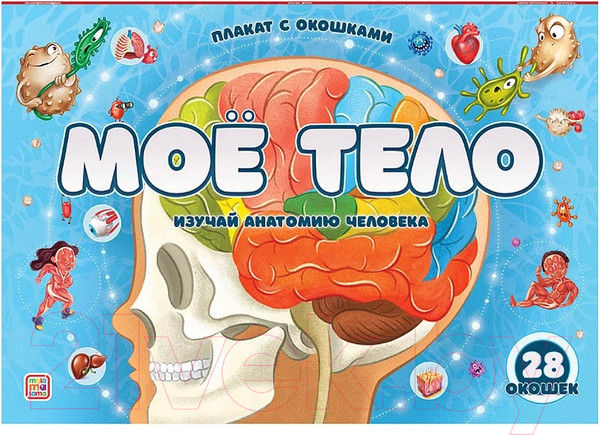 Изображение товара Развивающий плакат Malamalama С окошками. Мое тело