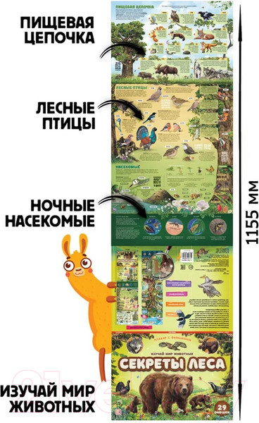 Изображение товара Развивающий плакат Malamalama С окошками. Секреты леса