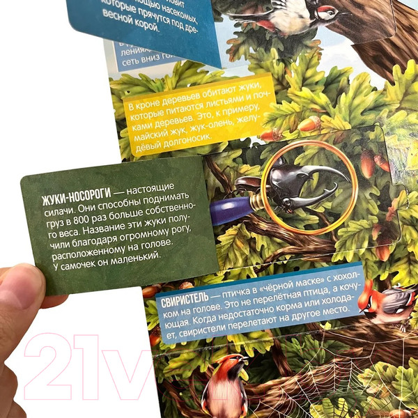 Изображение товара Развивающий плакат Malamalama С окошками. Секреты леса