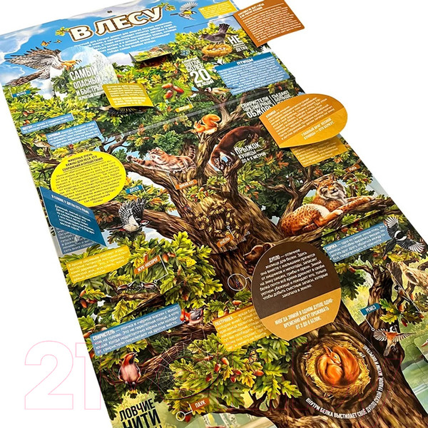 Изображение товара Развивающий плакат Malamalama С окошками. Секреты леса