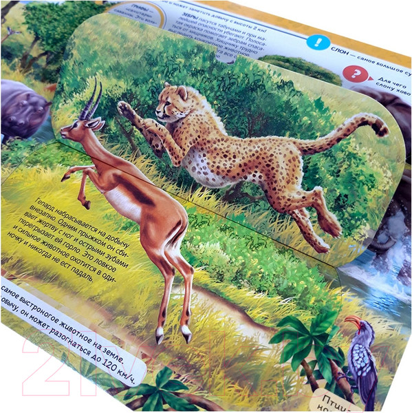 Изображение товара Энциклопедия Malamalama Животные