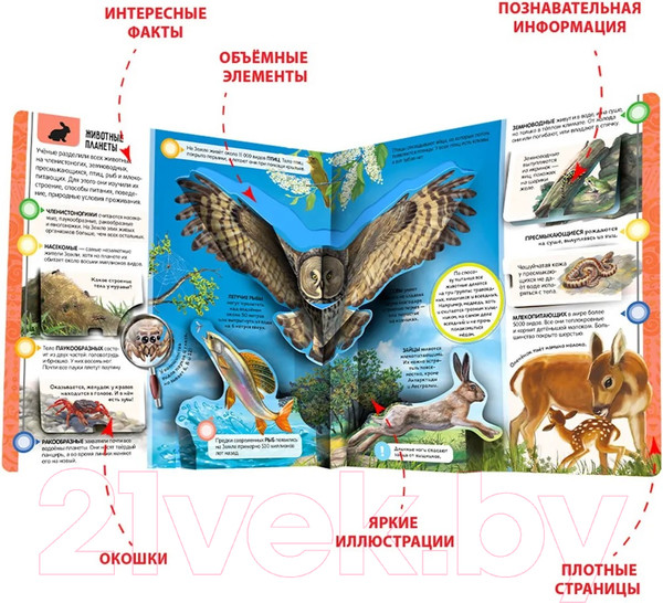 Изображение товара Энциклопедия Malamalama Энциклопедия открытий. Планета Земля