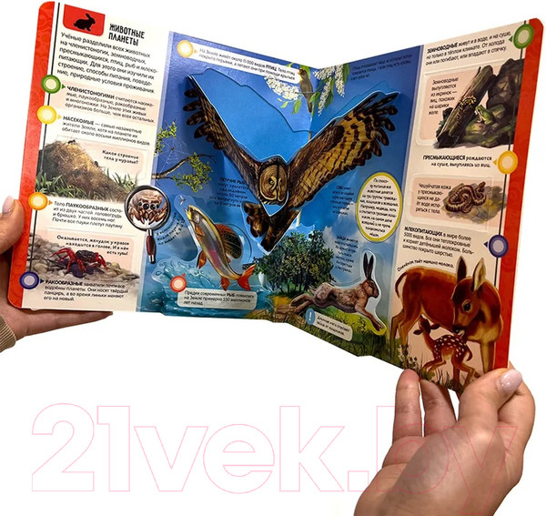 Изображение товара Энциклопедия Malamalama Энциклопедия открытий. Планета Земля