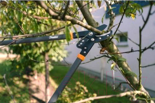 Изображение товара Сучкорез механический Bradas KT-V1221