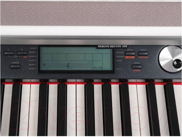 Изображение товара Цифровое фортепиано Medeli DP388-GW (белый глянцевый)