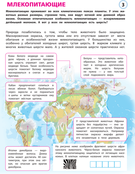 Изображение товара Энциклопедия АСТ Животные. Мой первый атлас с наклейками