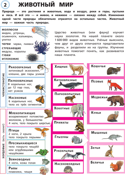 Изображение товара Энциклопедия АСТ Животные. Мой первый атлас с наклейками