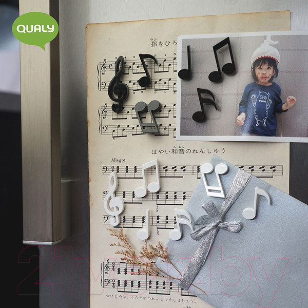 Изображение товара Набор магнитов декоративных Qualy QL10260-WH (6шт)