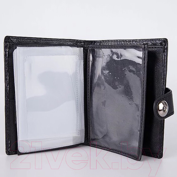 Изображение товара Портмоне Passo Avanti 519-302B-084-BLK (черный)