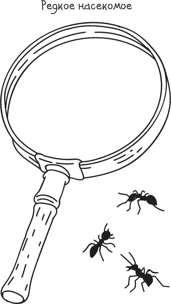 Изображение товара Раскраска АСТ Скетч-раскраска. Веселый зоопарк, мягкая обложка (Яковлева Ольга)