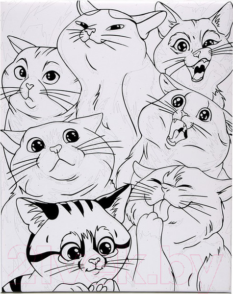 Изображение товара Картина по номерам Школа талантов Яркие котики / 9406603