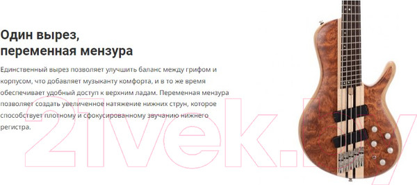 Изображение товара Бас-гитара Cort A5-Beyond-WCASE-OPBN (с футляром)