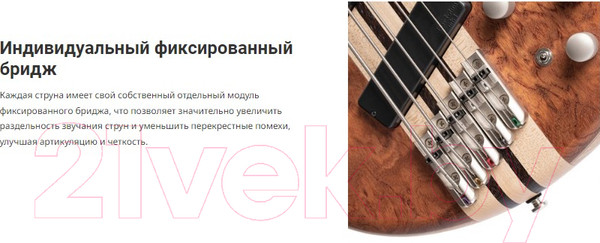 Изображение товара Бас-гитара Cort A5-Beyond-WCASE-OPBN (с футляром)