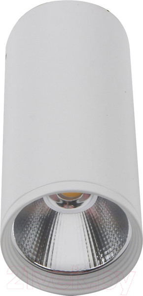 Изображение товара Точечный светильник Kinklight Фабио 08570-12.01 (белый)