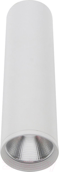 Изображение товара Точечный светильник Kinklight Фабио 08570-20.01 (белый)