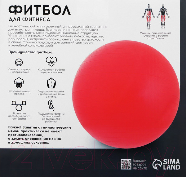 Изображение товара Фитбол гладкий Onlytop 3544014 (оранжевый)