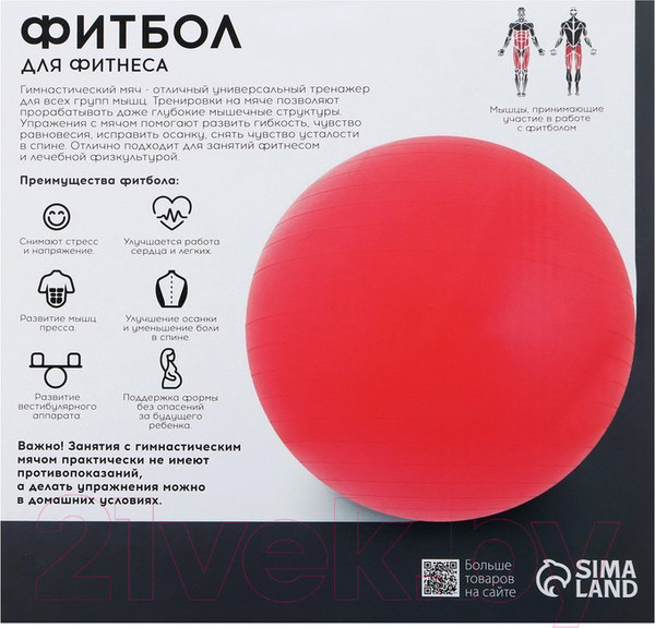 Изображение товара Фитбол гладкий Onlytop 3544004 (голубой)