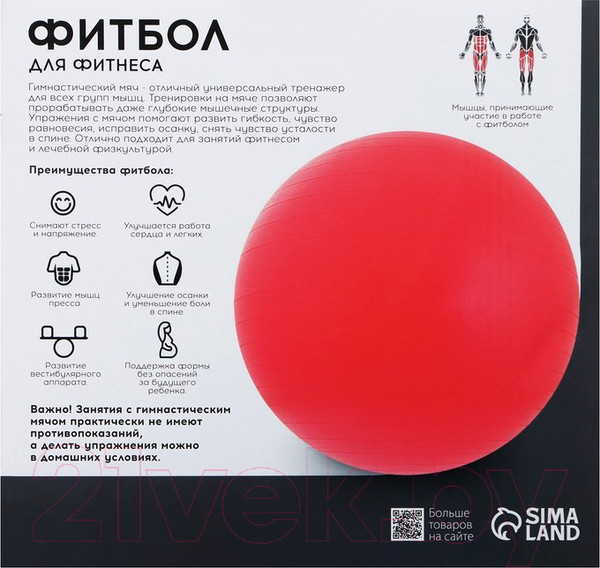 Изображение товара Фитбол гладкий Onlytop 3544003 (фиолетовый)