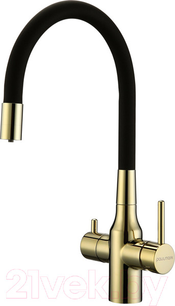Изображение товара Смеситель Paulmark Salix Sa213419-G (золото)