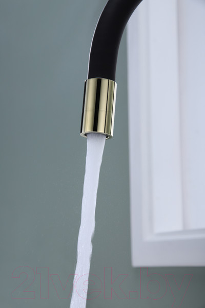 Изображение товара Смеситель Paulmark Salix Sa213419-G (золото)